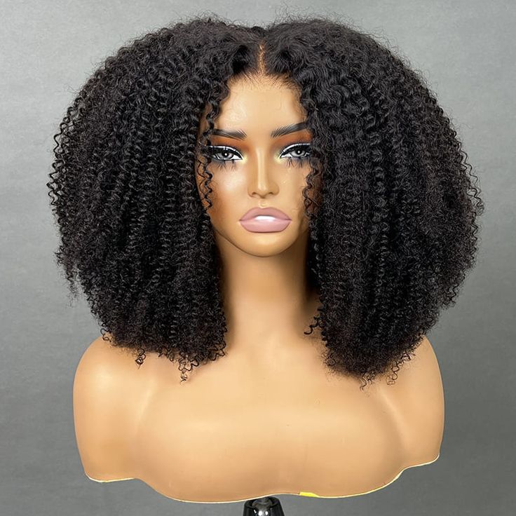 Brazilian Afro Kinky Curly Wave Virgin Human Hair 360 Full Lace Front Wigs