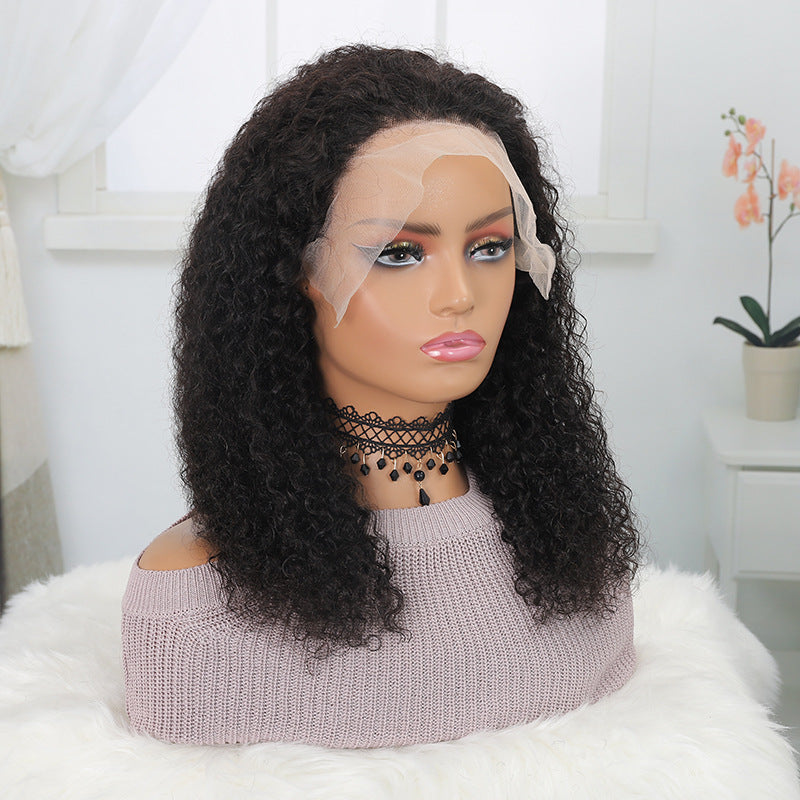 Kinky Curly Virgin Human Hair 13x4 Lace Frontal Wig
