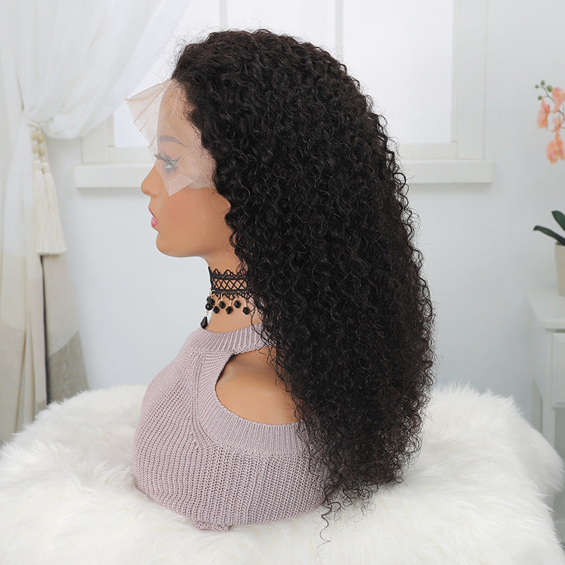 Kinky Curly Virgin Human Hair 13x4 Lace Frontal Wig