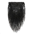 Brazilian Kinky Curly Human Hair Clip In Hair Extensions 8Pcs/Set